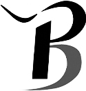 B and P Company Logo